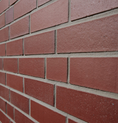 nf-rot-04100